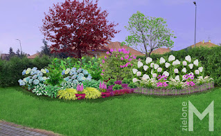 Mały kolorowy kwitnący ogród
