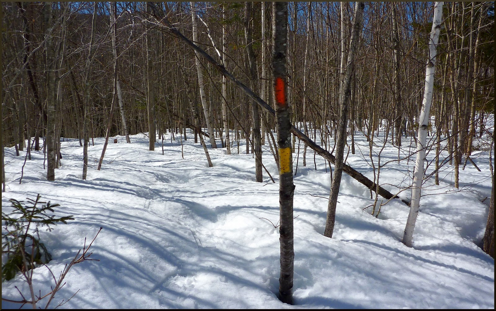 1HappyHiker Hall's Ledge (First of 2 Hikes on 1 Day)
