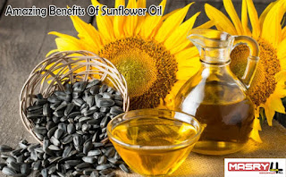 6 من فوائد زيت عباد الشمس المذهلة للبشرة    Amazing Benefits Of Sunflower Oil