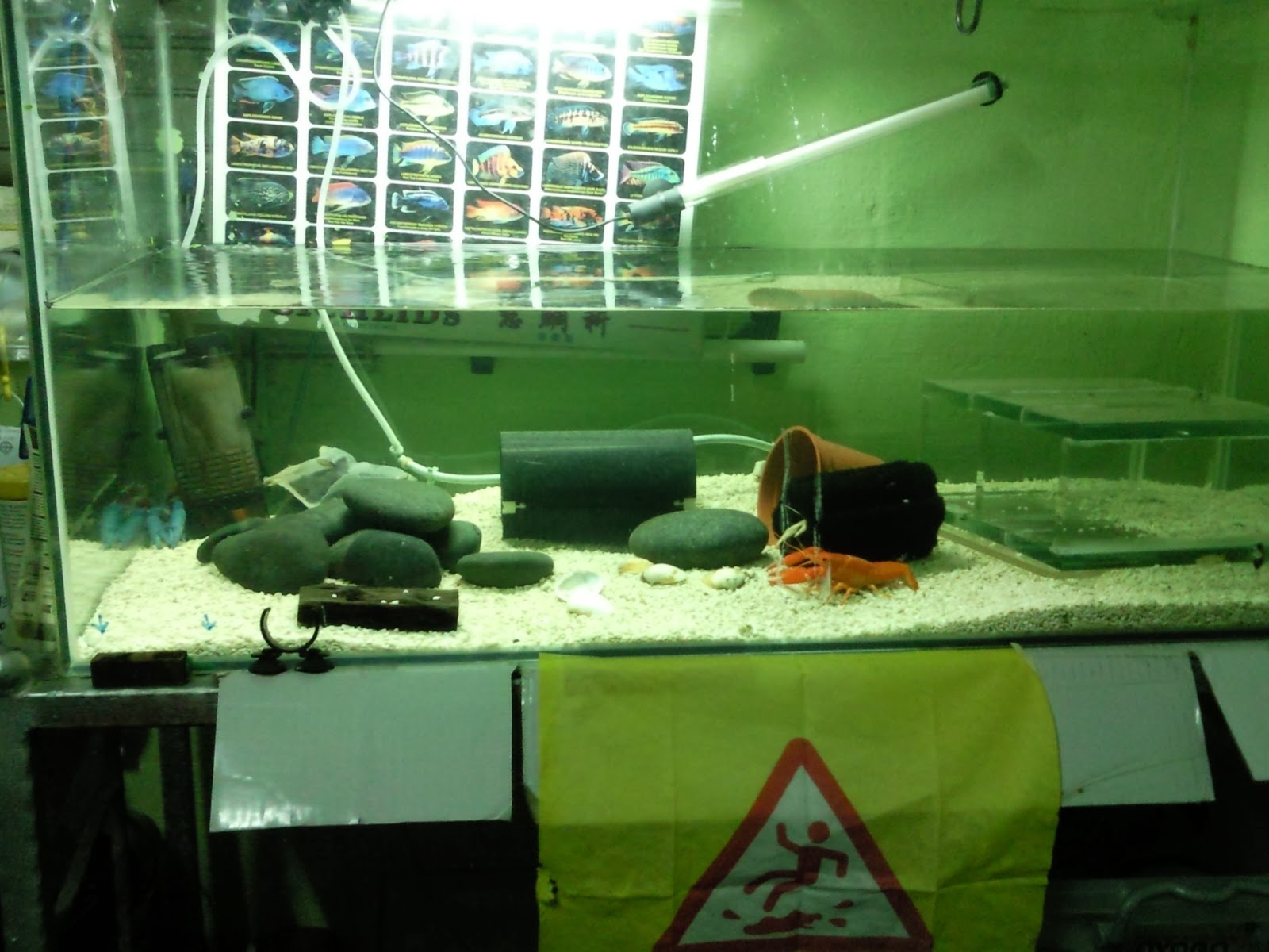 Tropical Fisher Man Fish Tanks And Aquarium CRS Aquarium Home Multiple