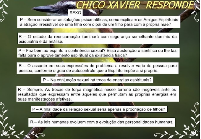 CHICO CHAVIER RESPONDE-SOBRE SEXO,REENCARNAÇÃO,DESENCARNAÇÃO