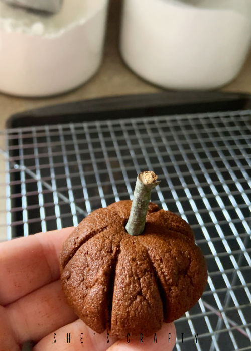 Cinnamon Pumpkins with twig stems for fall.