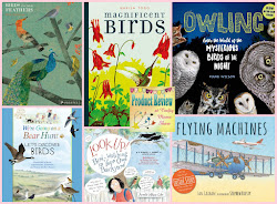 books flying birds happy planes things spring let opinions honest disclosure sent exchange own