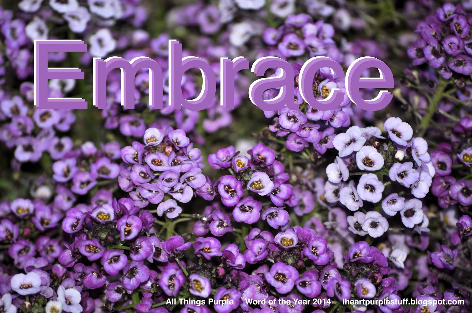 All Things Purple Word of the Year 2014 Embrace