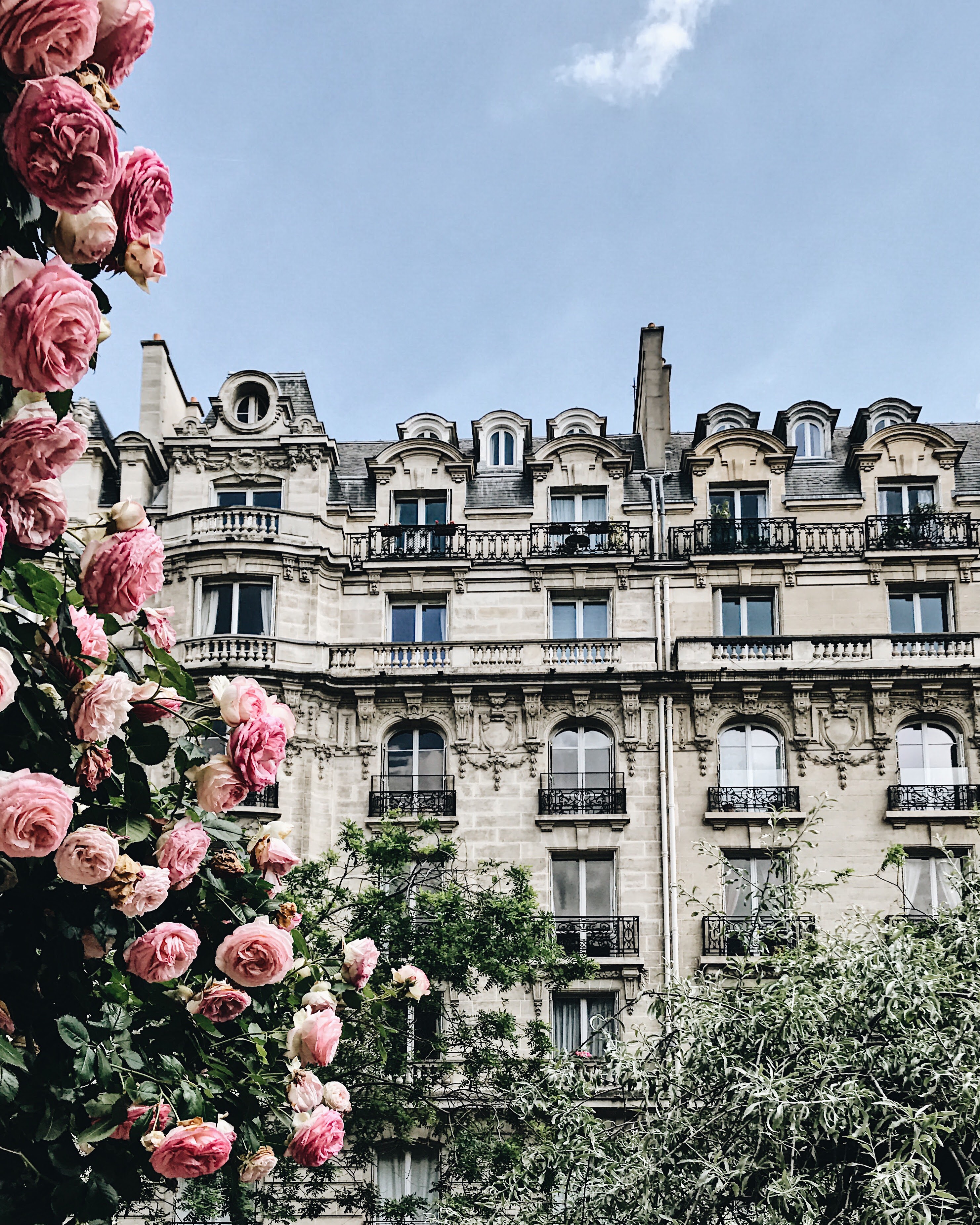 Weekday Wanderlust: A Summer Day in Paris