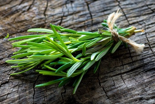 Benefits of rosemary for coarse hair