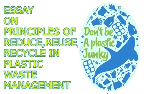 Essay On Principles of Reduce,Reuse