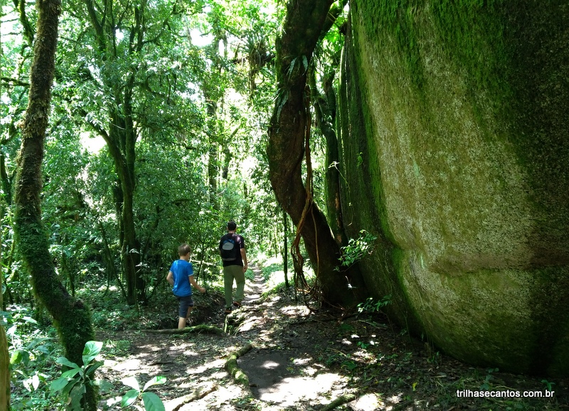 Trilhas de Monte Verde Trilhas de Monte Verde