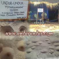 Jual Undur Undur I Sms I Wa Ke 085727812151 Manfaat Undur Undur