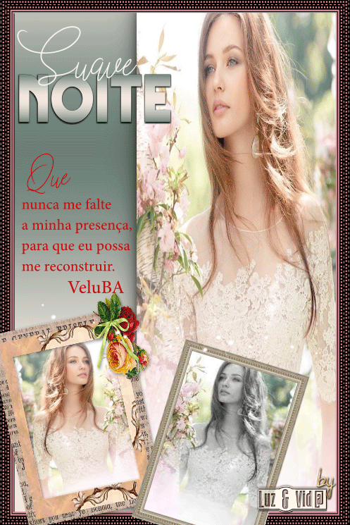 NOVO73-%2528MB%2529maryluz.gif