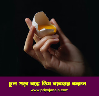 চুল পড়া বন্ধে ডিম