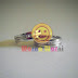 Cincin Kawin Paladium