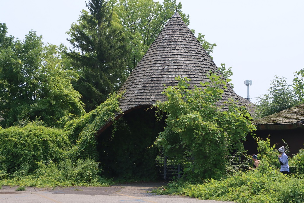 Michigan Exposures The Detroit Belle Isle Zoo