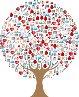 Kimia Hijau Solusi Masa Depan Berkelanjutan