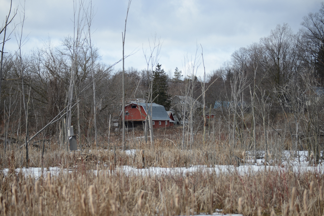 Just things and thoughts A wee trip to Schomberg, small town Ontario