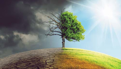 Causes and Effects of Global Warming for Kids Causes and Effects of Global Warming for Kids