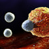 Cancer Dies When You Eat These 7 Foods - Time To Start Eating Them