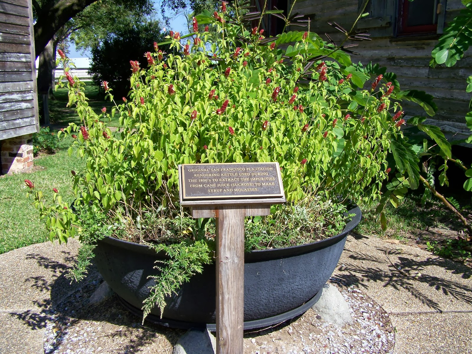Cozy in Texas Sugar Kettles