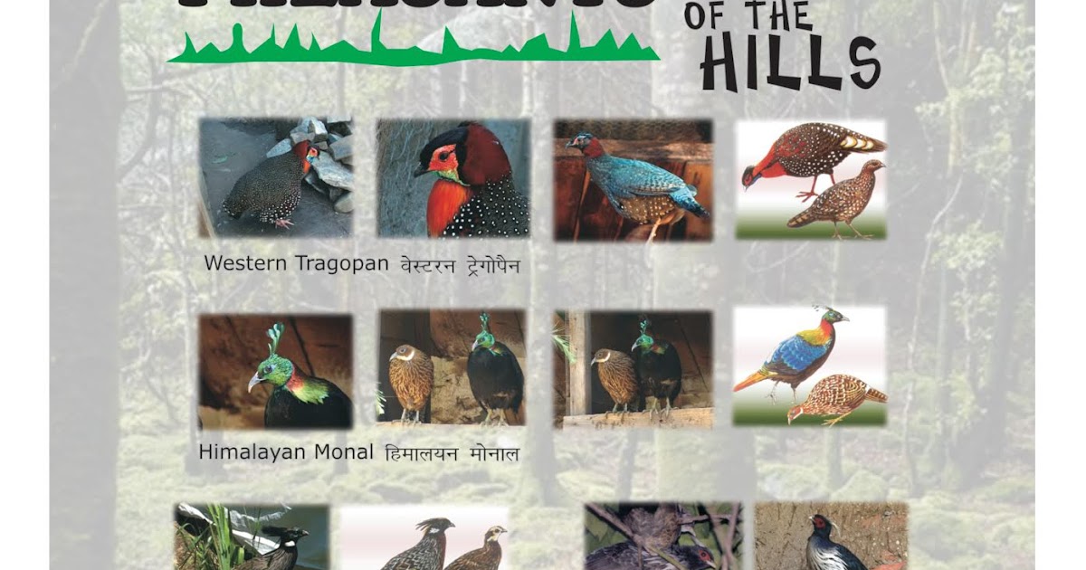 Kedarnath Wildlife Sanctuary