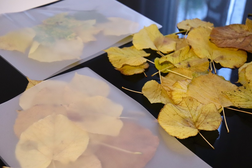 Vitrail d'automne ou attrape-soleil de feuilles mortes { DIY & d'activités  manuelles d'automne } - Plus de mamans