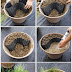 How to make a pond in a small pot or bucket