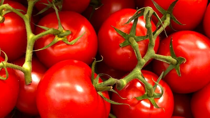 lycopene-challenges-cancer-treatment