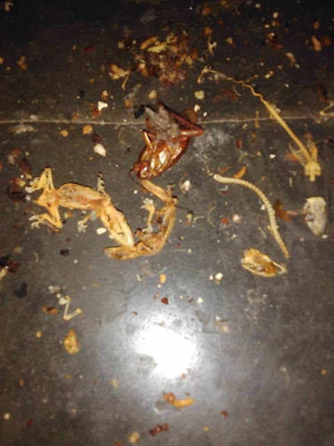 Pantas Saja Meski Beras Dicuci Bersih Masak Nasi Pakai Magic Com Jadi Aromanya Tak Sedap, Setelah Dibongkar Ternyata Ada Ini! Pantas Saja Meski Beras Dicuci Bersih Masak Nasi Pakai Magic Com Jadi Aromanya Tak Sedap, Setelah Dibongkar Ternyata Ada Ini!