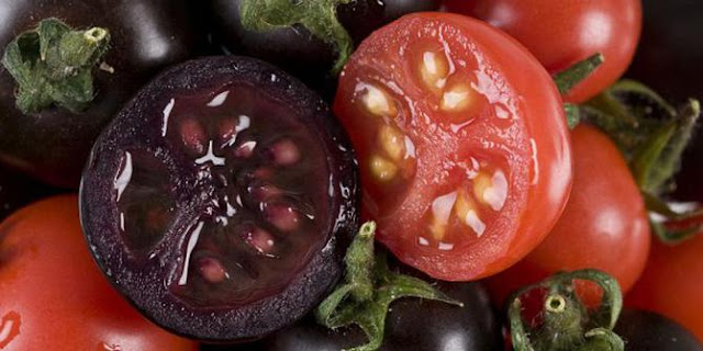 Buah Hasil Rekayasa Genetik yang Unik