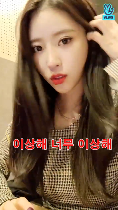 5.png