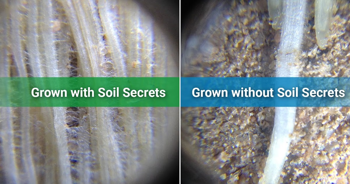 How does nitrogen work in the soil, and where does it come from when we