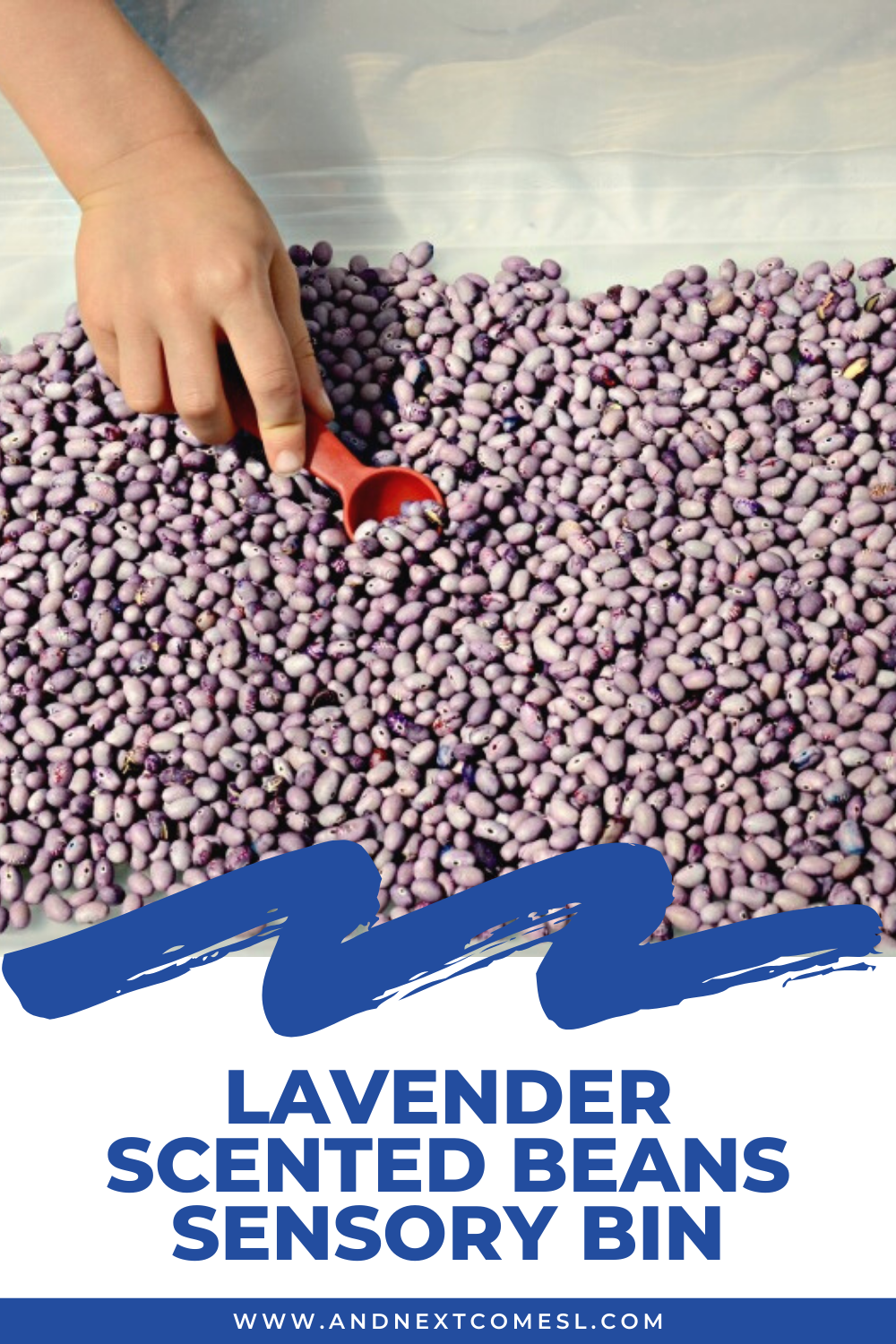 Lavender Scented Beans Sensory Bin And Next Comes L Hyperlexia