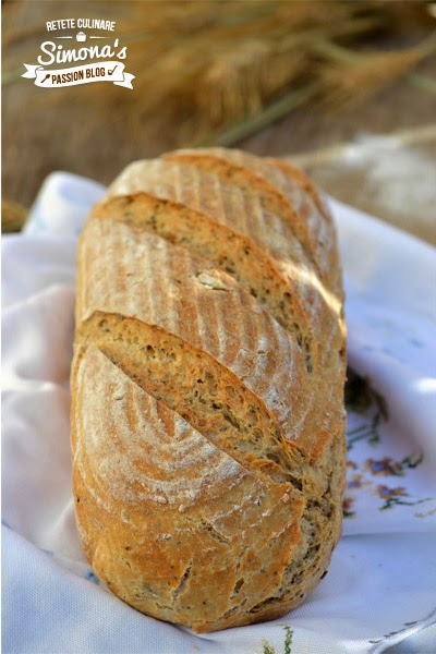 Paine  dospita la rece