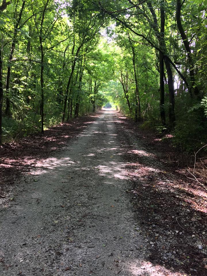 ELKMONT ALABAMA DID YOU KNOW ABOUT THE ELKMONT WALKING TOUR?