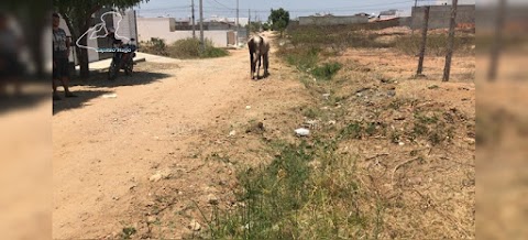 Avenida Valter Carvalho no Bairro Geraldo de Carvalho em situação precária de mobilidade 