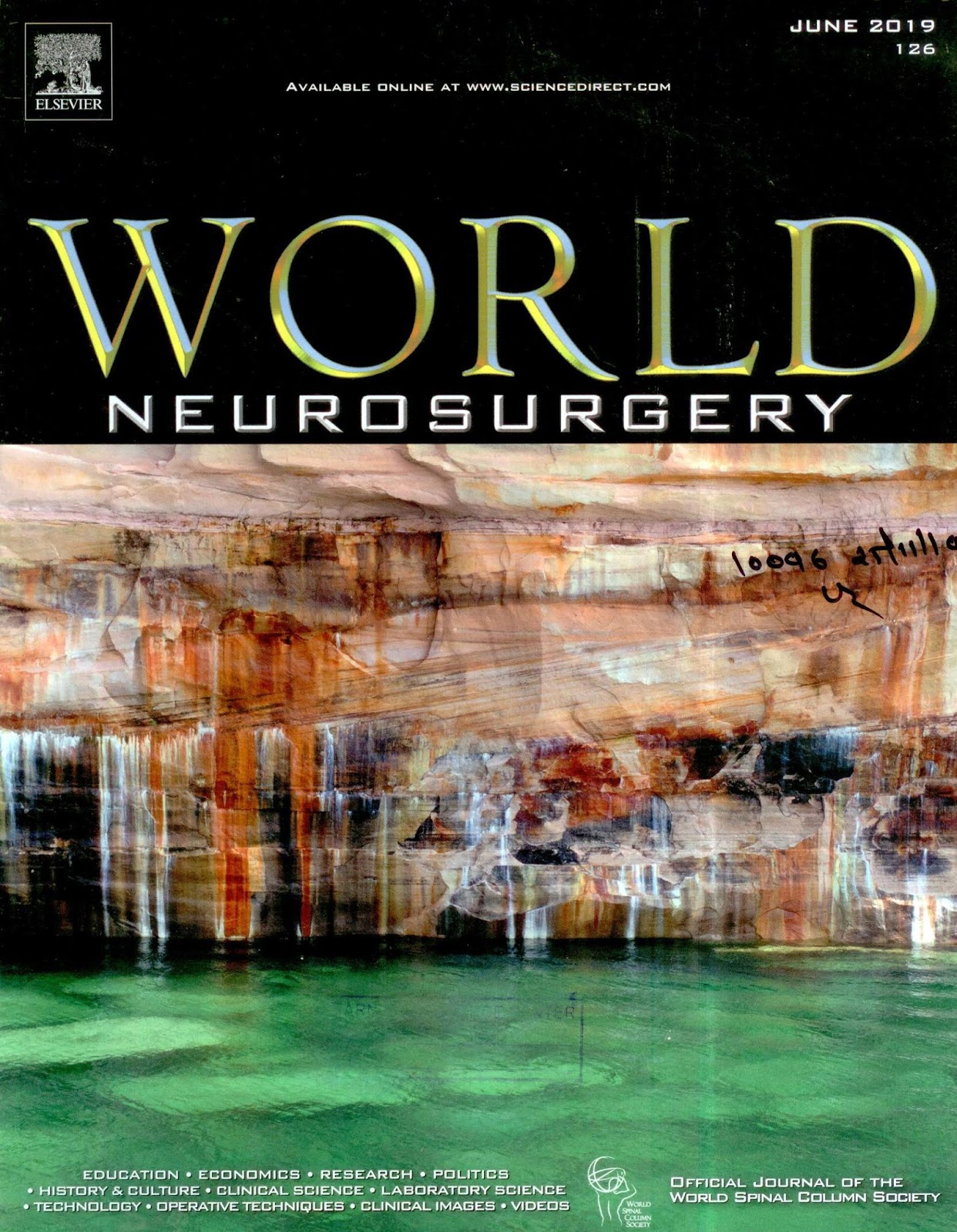 https://www.sciencedirect.com/journal/world-neurosurgery/vol/126/suppl/C