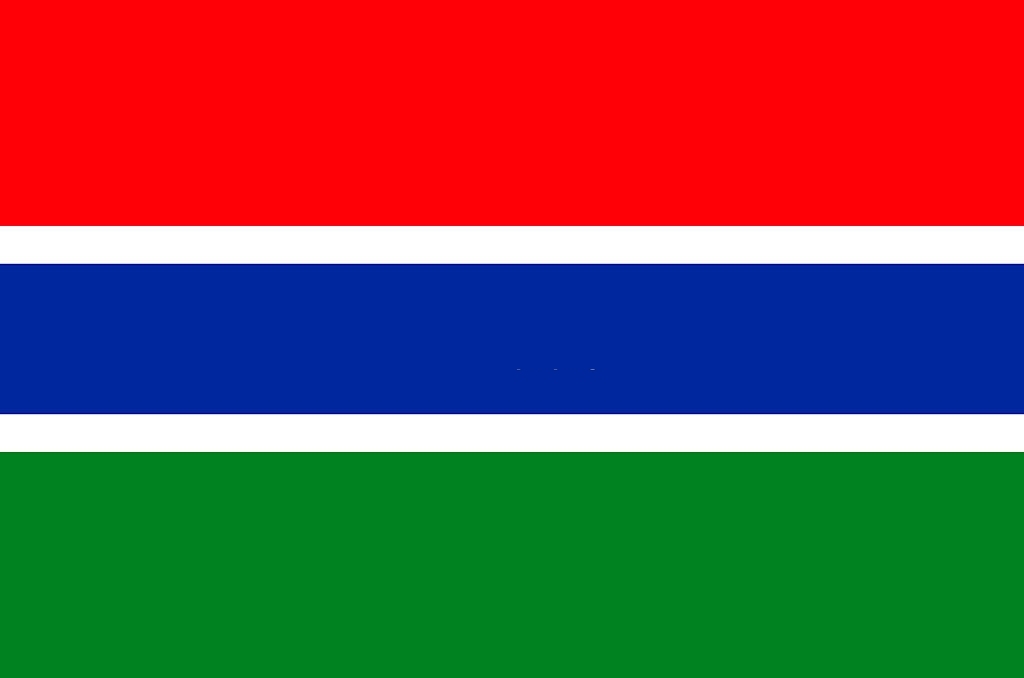 Gambia: country with highest birth rate
