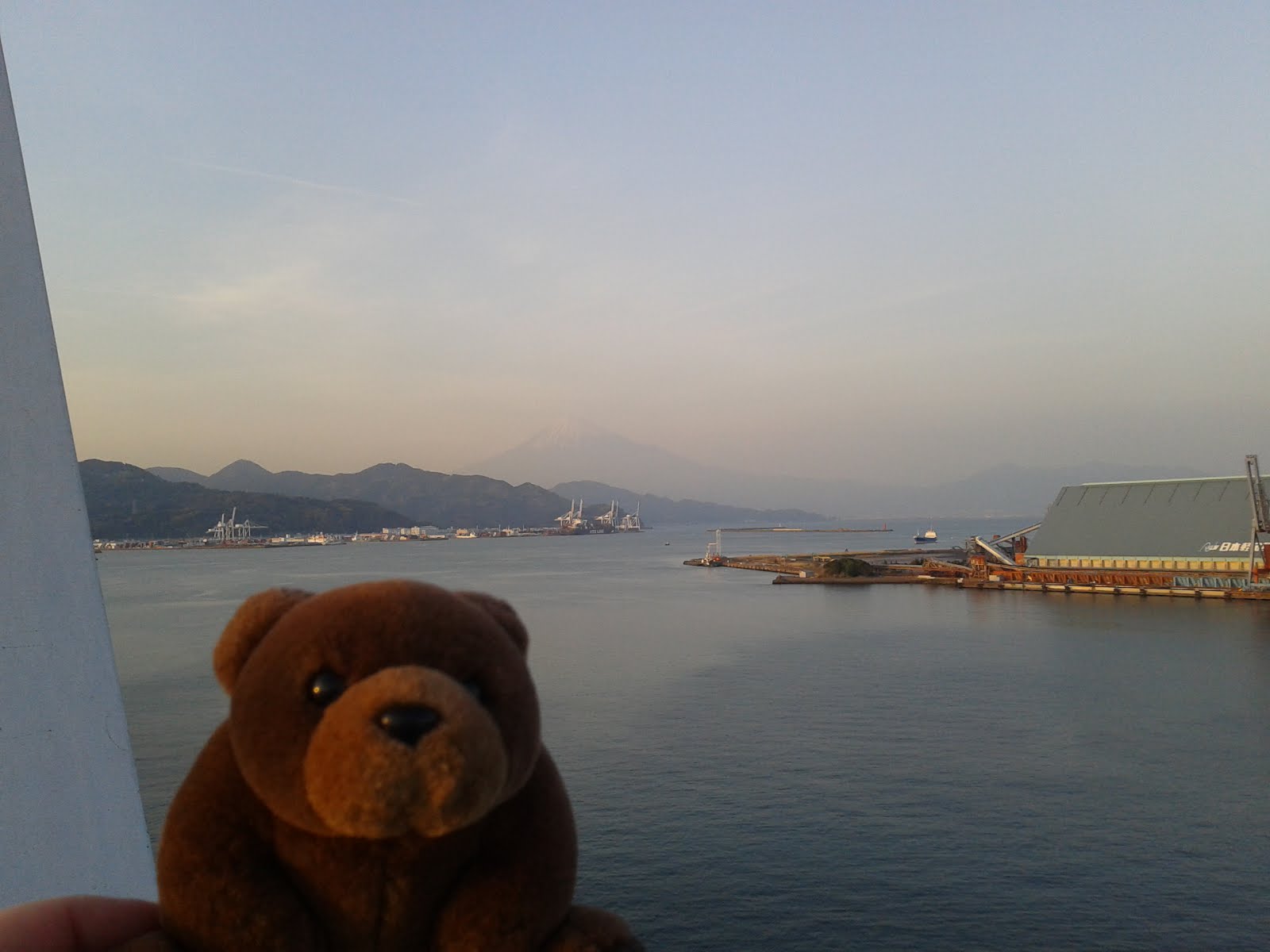 Teddy in Shimizu, Mount Fiji