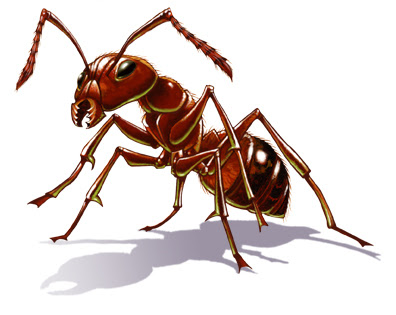 تفسير النمل و الحشرات في الحلم   رؤية الحشرات في المنام