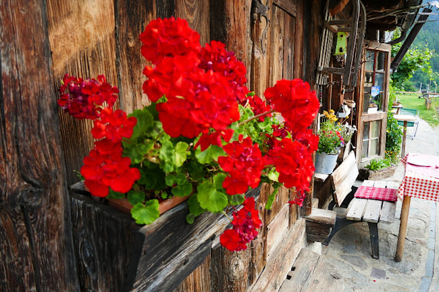 agriturismo solasna con animali in trentino