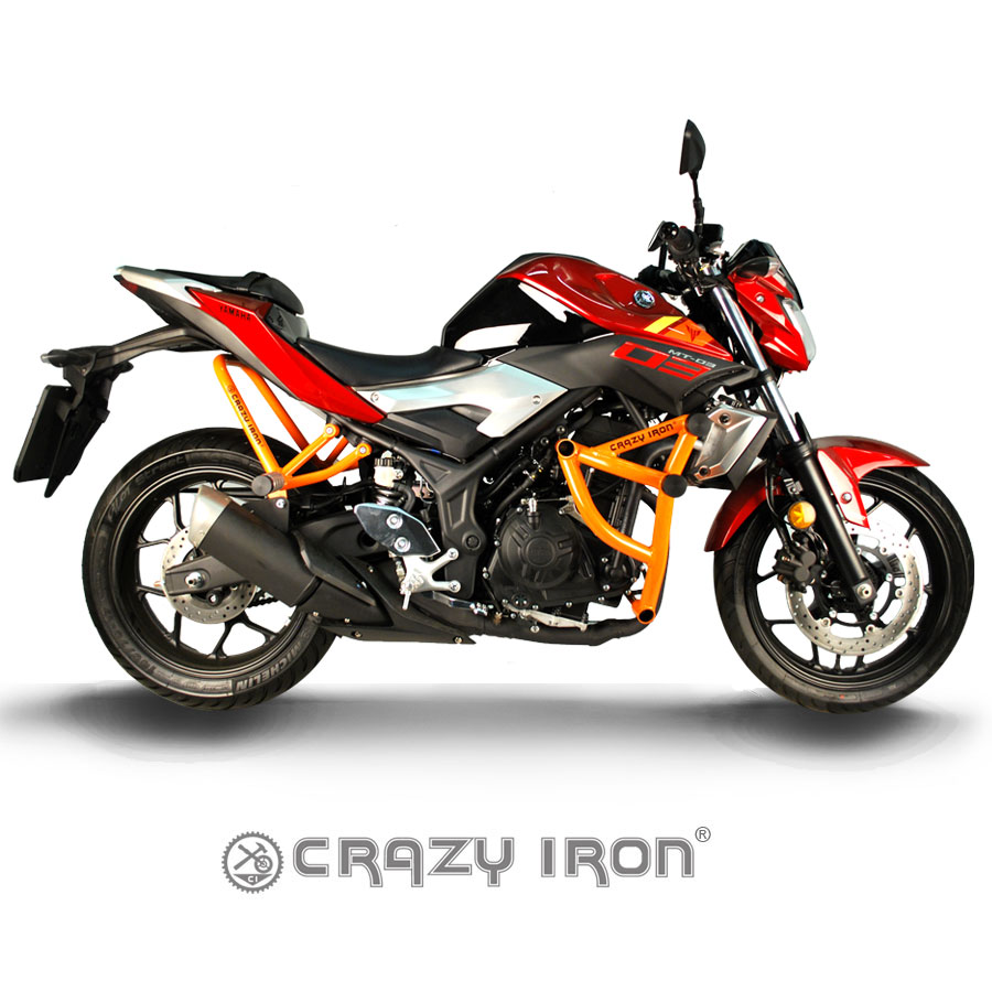CRAZY IRON スタントケージ サブゲージ YZF-R6