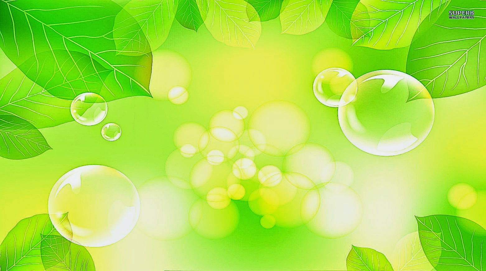 Bubbles and green leaves wallpaper   Digital Art wallpapers