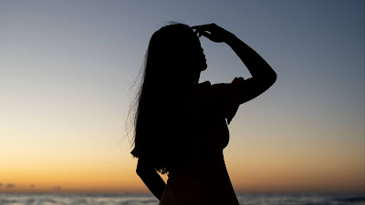 HD wallpaper girl silhouette, sea, skyline