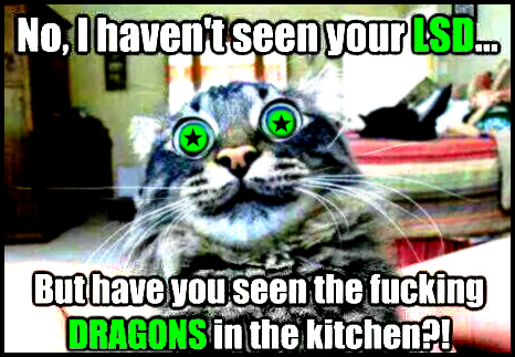 No, I haven't seen your LSD, but have you seen the fucking DRAGONS in the kitchen! No, I haven't seen your LSD, but have you seen the fucking DRAGONS in the kitchen!
