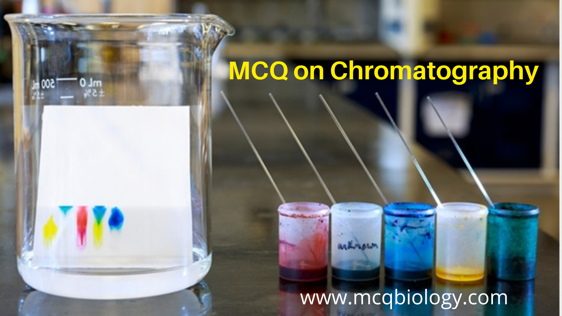 Multiple Choice Questions on Chromatography Separation Techniques Part 1