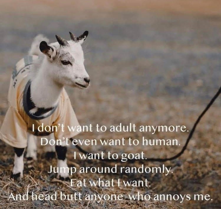 PHAMILYBLOG THANKFUL THURSDAY