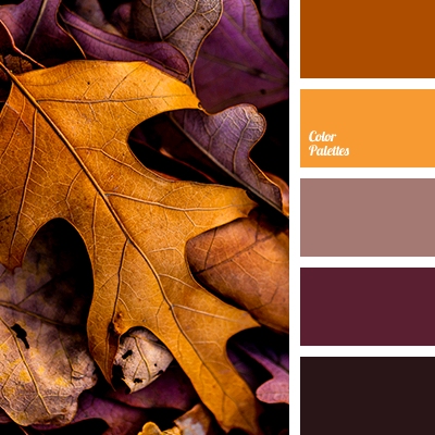 Dishfunctional Designs My Favorite Autumn Color Palettes