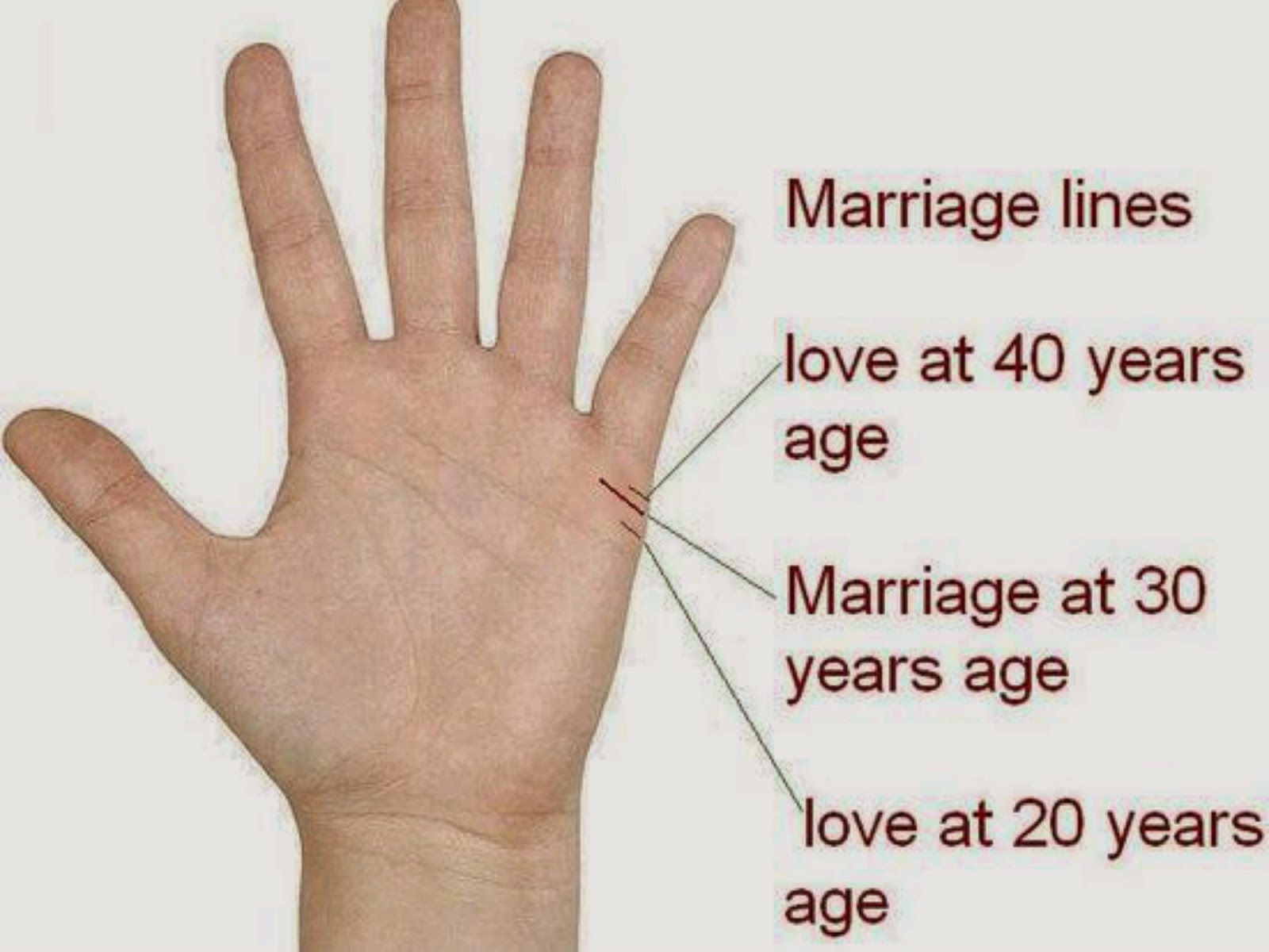 Seven Facts About Palmistry Union Line That Will Blow Your Mind. palmistry union line The