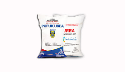 cara menggunakan pupuk urea