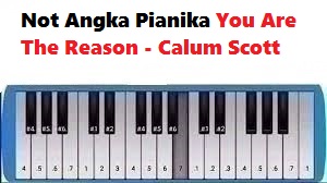 Not Angka Pianika You Are The Reason Calum Scott Calonpintar Com