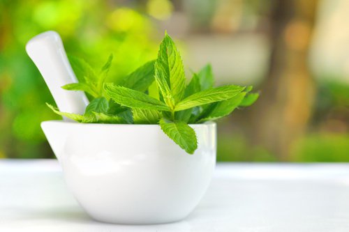 Comment préparer une boisson d'aloe vera pour nettoyer le foie et brûler les graisses? Comment préparer une boisson d'aloe vera pour nettoyer le foie et brûler les graisses?